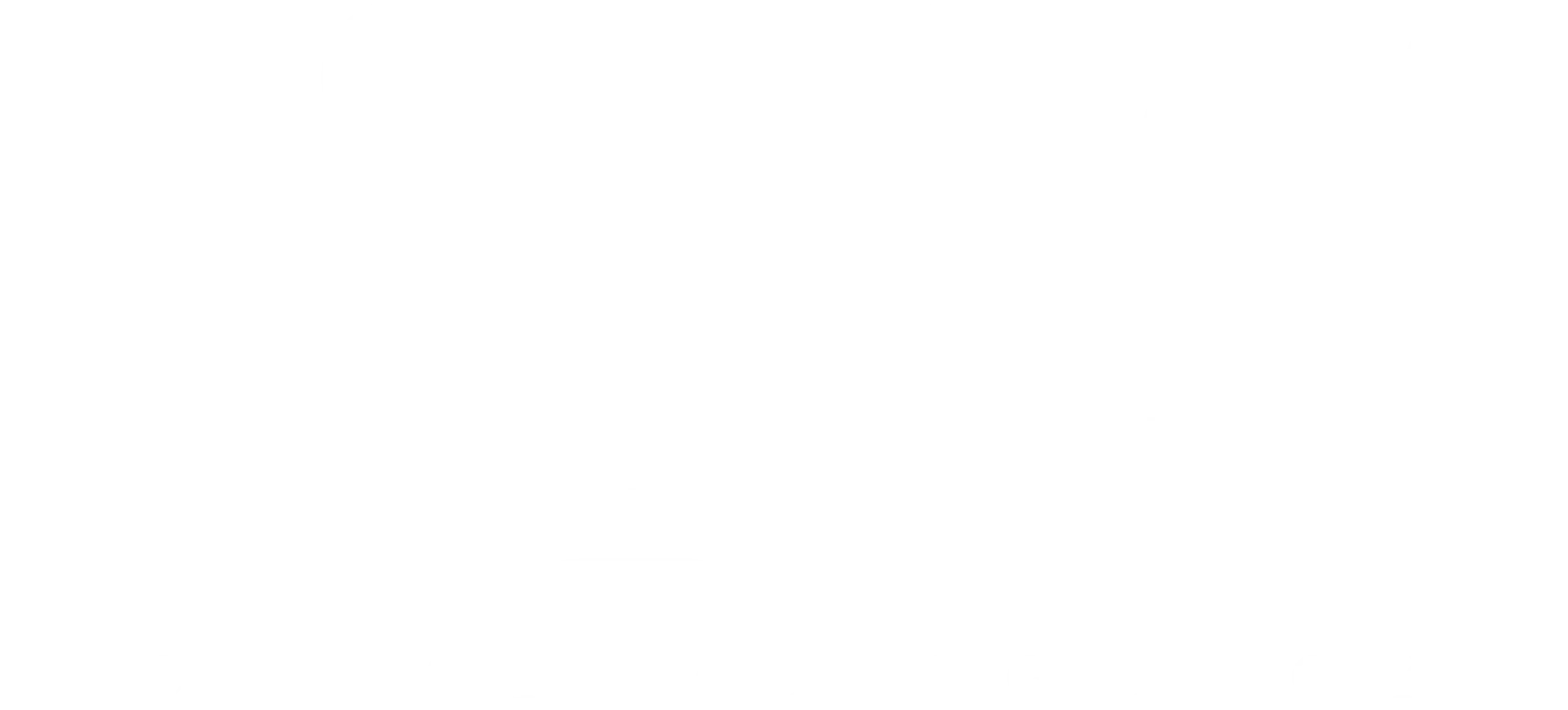 VNS Creative Agency