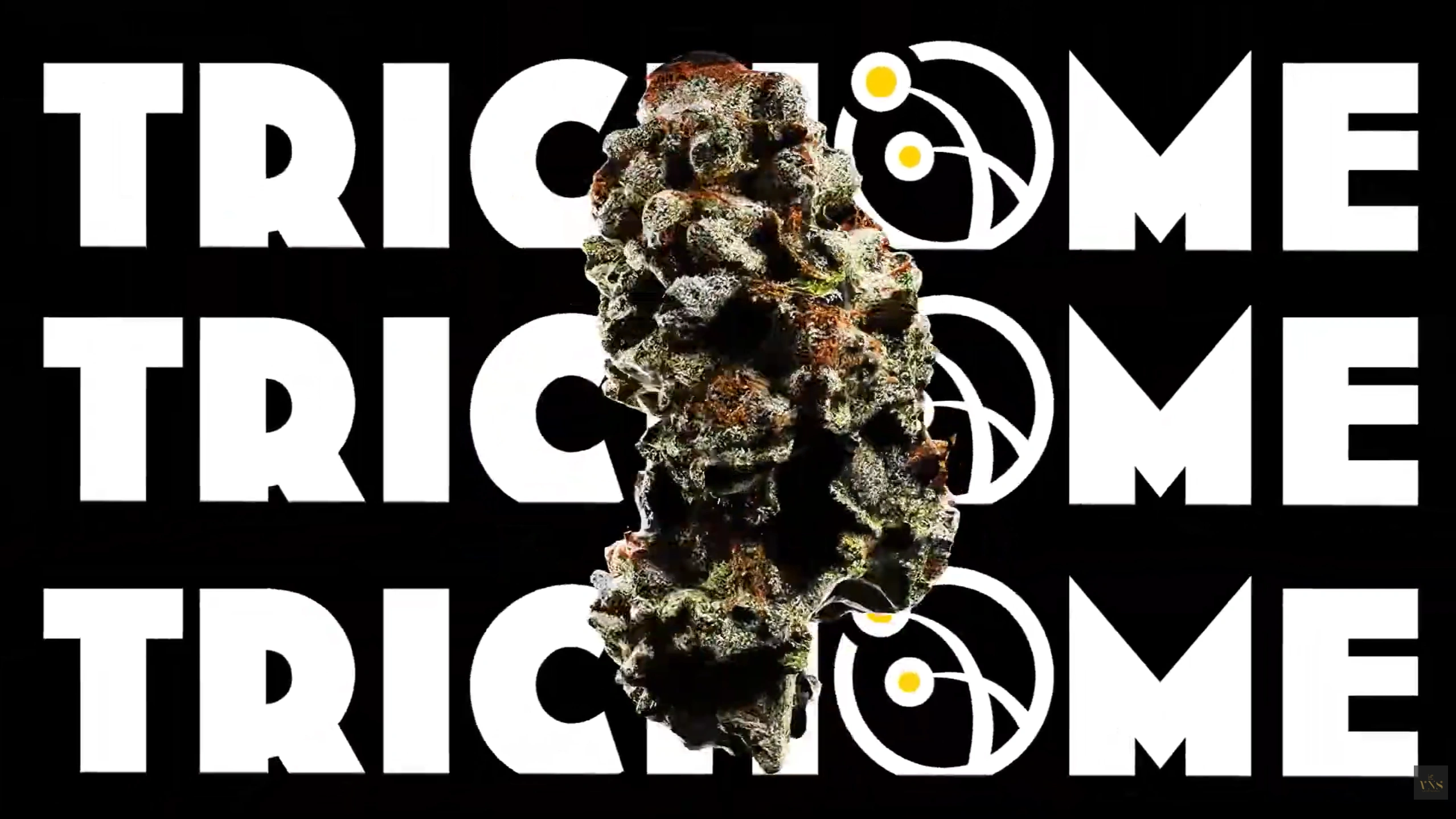 Trichome Commercial